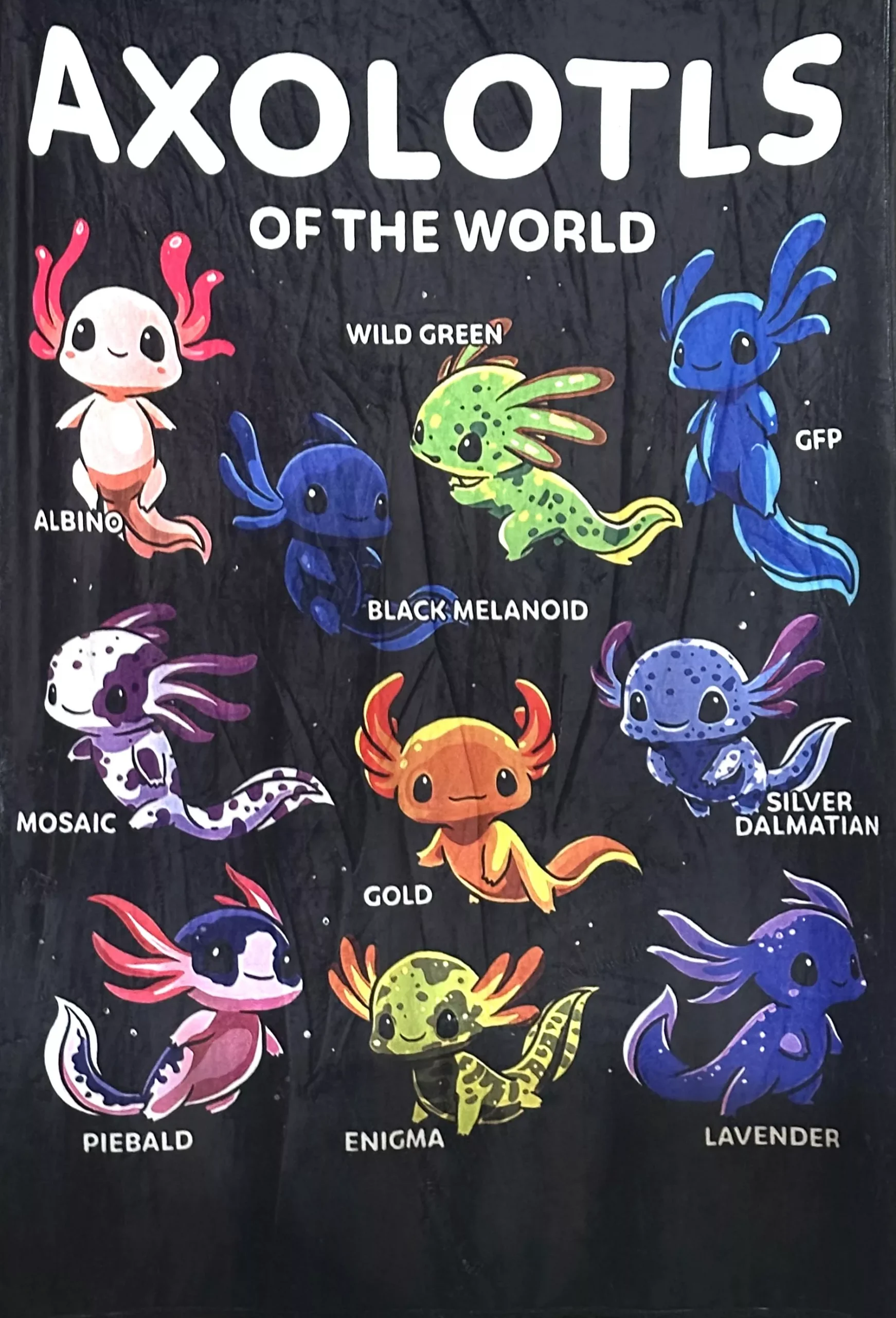 'Axolotls Of The World' Blanket