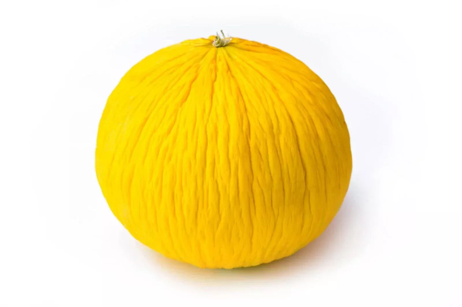 Golden Beauty Casaba Melon Seeds - 20 Count, Easy to Grow, Sweet Flavor, Cucumis melo